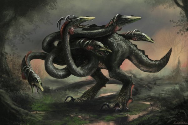 Kraken 12at