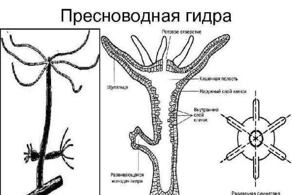 Кракен зарегистрироваться